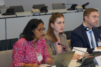 Gitika Goswami (Development Alternatives, India) & Mariam Devidze (Green Alternative, Georgia) providing on-the-ground insights and concrete recommendations on behalf of the AF NGO Network at the Fund's Board meeting in June 2019