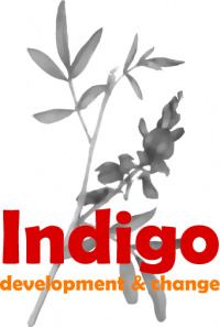 Indigo Logo