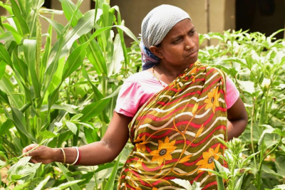 Woman creates seed banks for sustaining their own nutrition gardens resulting in more self-reliance.